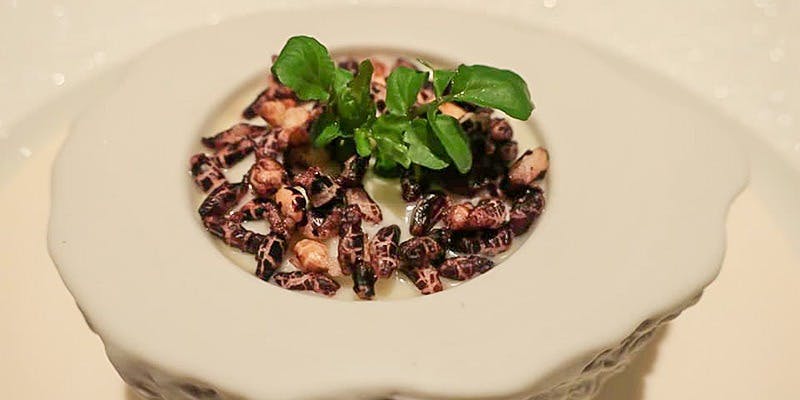 燠火kawaguchi∴（オキビカワグチ）