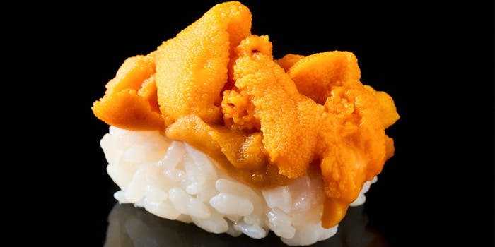 銀座のランチに寿司 鮨 が楽しめるおすすめレストラントップ 一休 Comレストラン 銀座のランチに寿司 鮨 が楽しめるおすすめレストラントップ 一休 Comレストラン