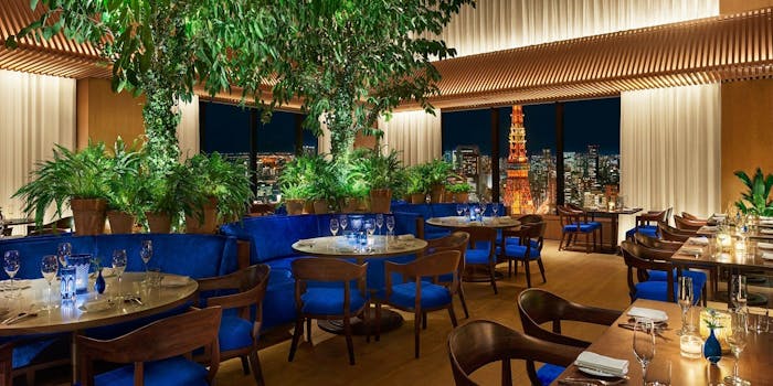 ランチ ザ ブルー ルーム トウキョウエディション トラノモン The Blue Room 東京エディション虎ノ門 洋食 一休 Comレストラン ランチ ザ ブルー ルーム トウキョウエディション トラノモン The Blue Room 東京エディション虎ノ門 洋食 一休 Comレストラン