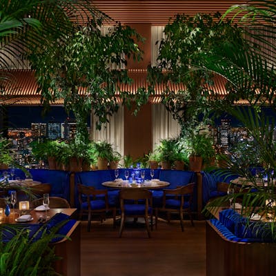 開放的な空間にサファイアブルーのインテリア