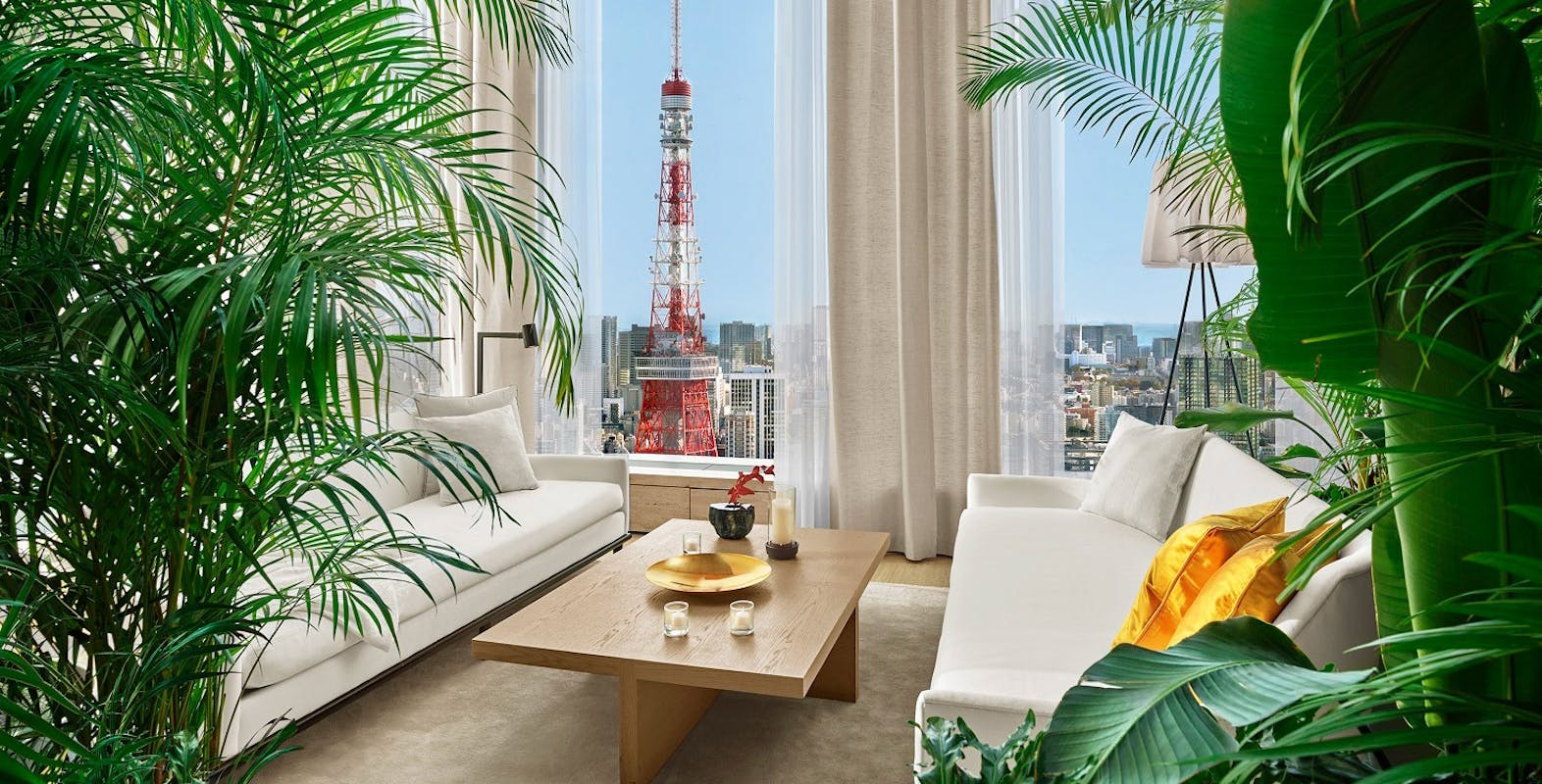 コンラッドの内観