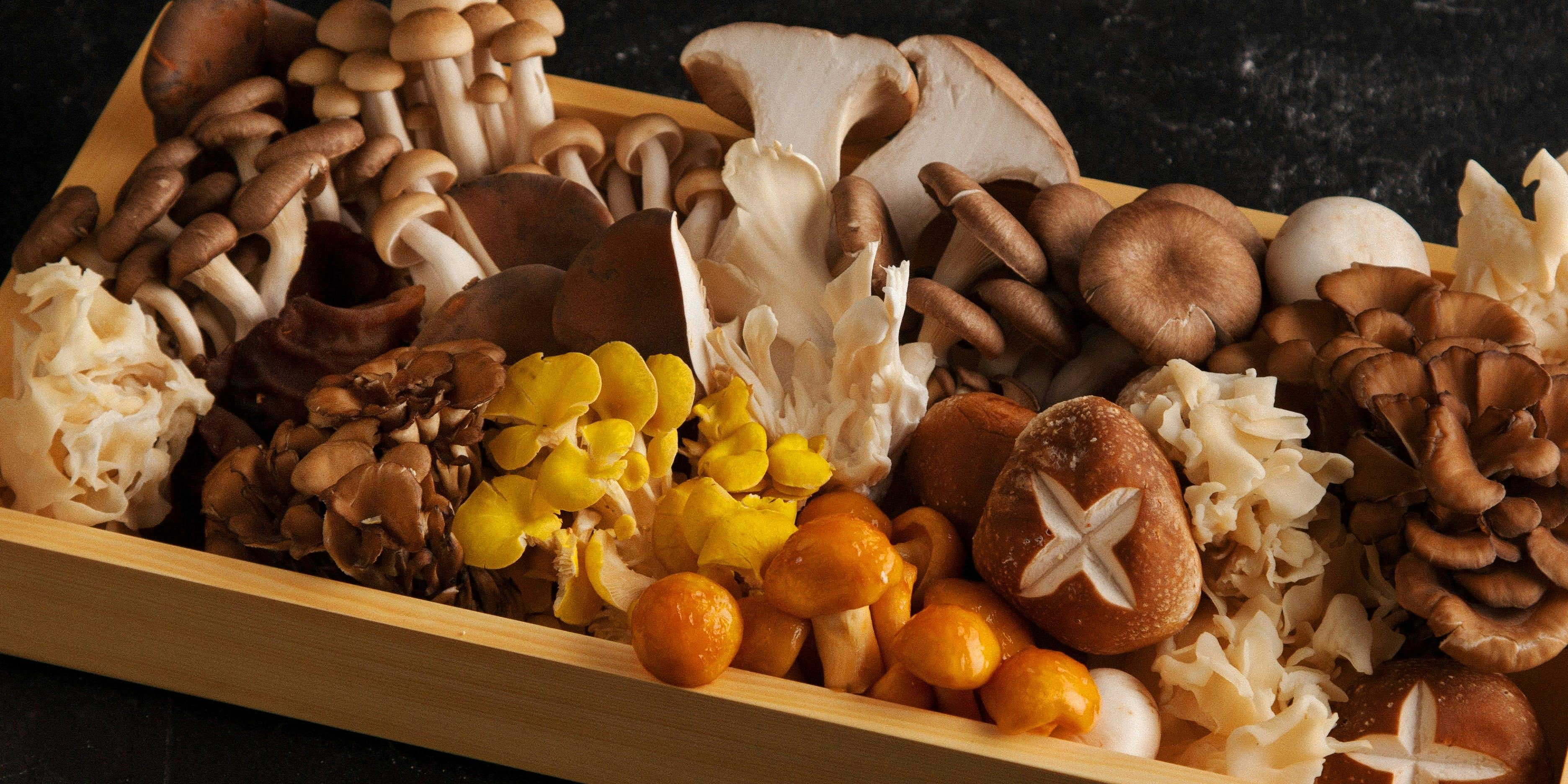 薬膳火鍋OSHIDORI - 画像5