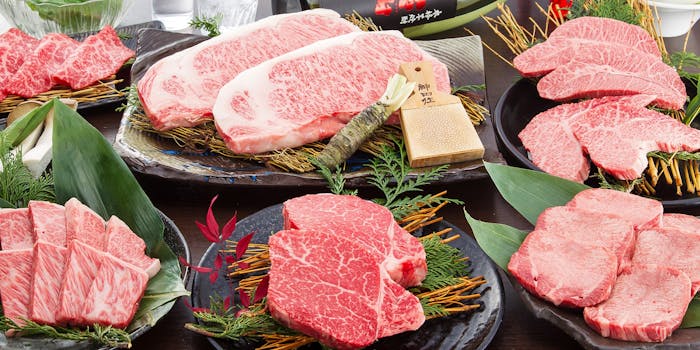 中之島の焼肉が楽しめるおすすめレストラントップ2 一休 Comレストラン 中之島の焼肉が楽しめるおすすめレストラントップ2 一休 Comレストラン