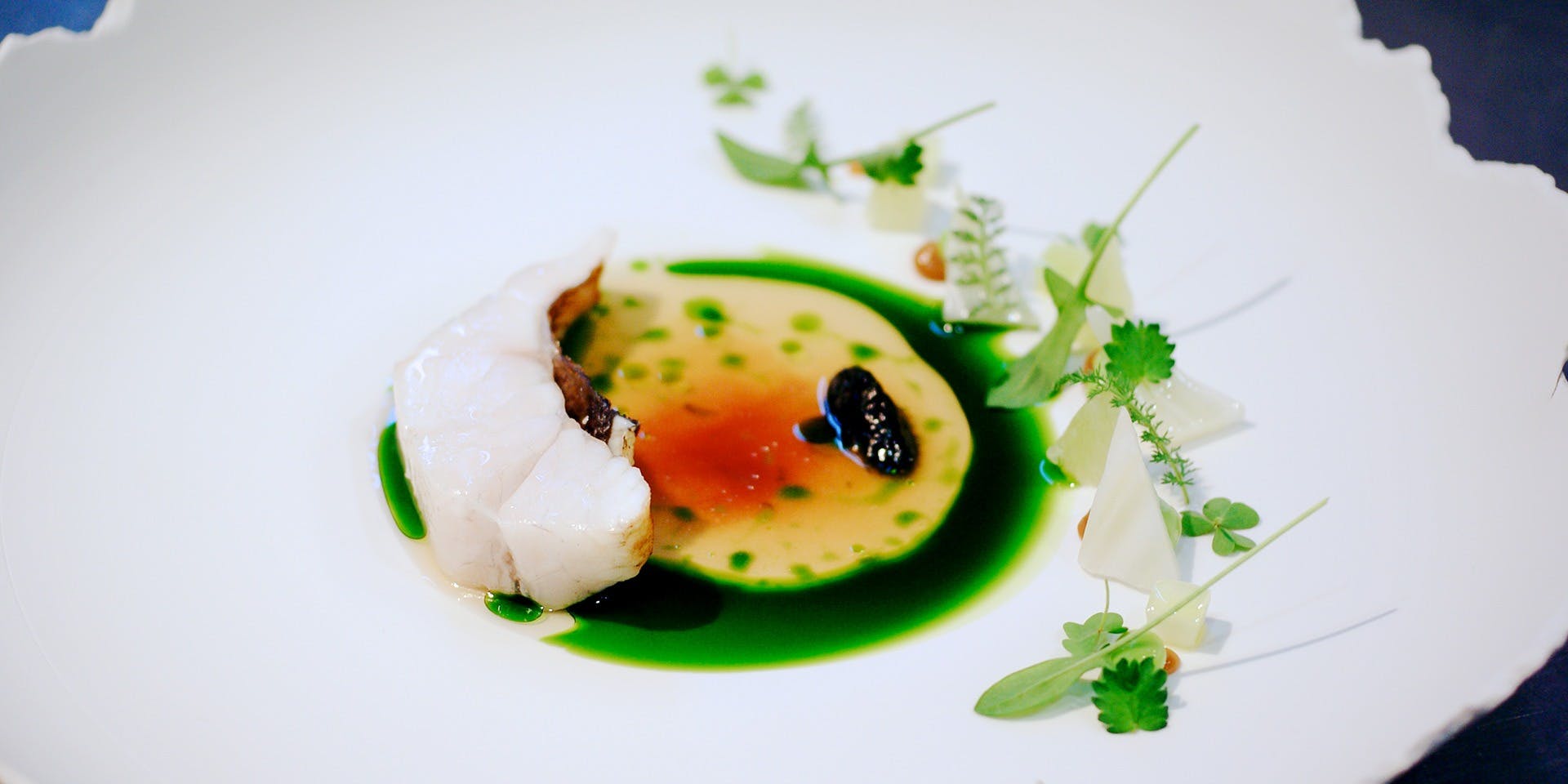 HAJIME 【 VEGETABLE TASTING MENU】（リクエスト予約） ディナー プラン(12235024)・メニュー