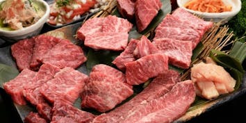 【BeefGardenコース】“生”タンと極上希少部位だけを味わう贅沢9皿 - Beef Garden 二子玉川