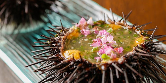 新座 所沢のディナーにおすすめレストラントップ2 一休 Comレストラン 新座 所沢のディナーにおすすめレストラントップ2 一休 Comレストラン