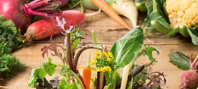 京王多摩センター駅周辺ディナー 30件 おしゃれ人気店 絶品ディナーグルメ 22年 一休 Comレストラン 京王多摩センター駅周辺ディナー 30件 おしゃれ人気店 絶品ディナーグルメ 22年 一休 Comレストラン