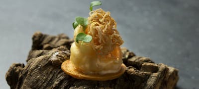 河原町ランチ22 おすすめ 絶品お昼ごはん24選 一休 Comレストラン 河原町ランチ22 おすすめ 絶品お昼ごはん24選 一休 Comレストラン