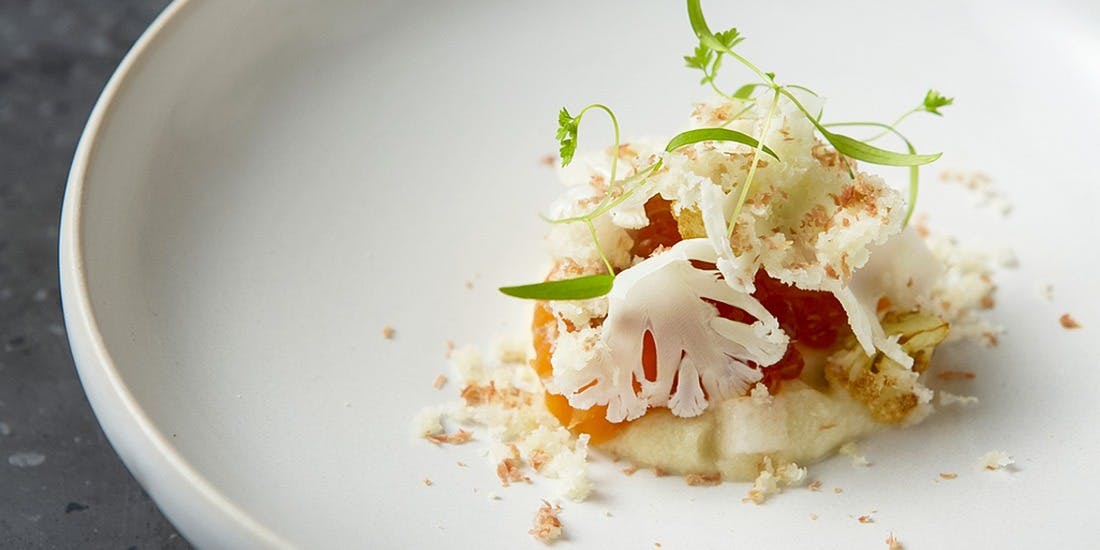 VELROSIER（ベルロオジエ）