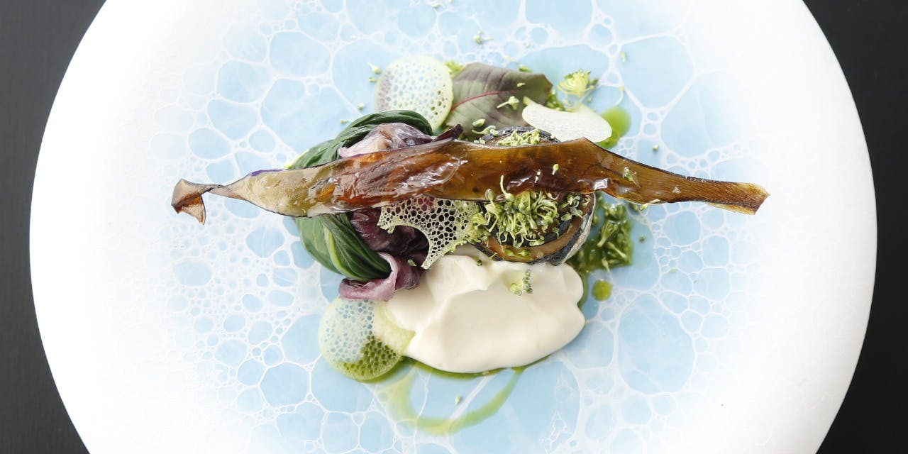 ランチ カジ シナジー レストラン Kaji Synergy Restaurant 武雄温泉 イタリア料理 一休 Comレストラン ランチ カジ シナジー レストラン Kaji Synergy Restaurant 武雄温泉 イタリア料理 一休 Comレストラン