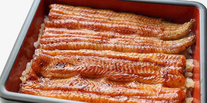 埼玉のうなぎが楽しめるおすすめレストラントップ1 一休 Comレストラン 埼玉のうなぎが楽しめるおすすめレストラントップ1 一休 Comレストラン