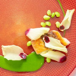 ディナー 湯布院イタリアン Quercus ユフインイタリアン ケルカス 由布院 イタリア料理 一休 Comレストラン ディナー 湯布院イタリアン Quercus ユフインイタリアン ケルカス 由布院 イタリア料理 一休 Comレストラン