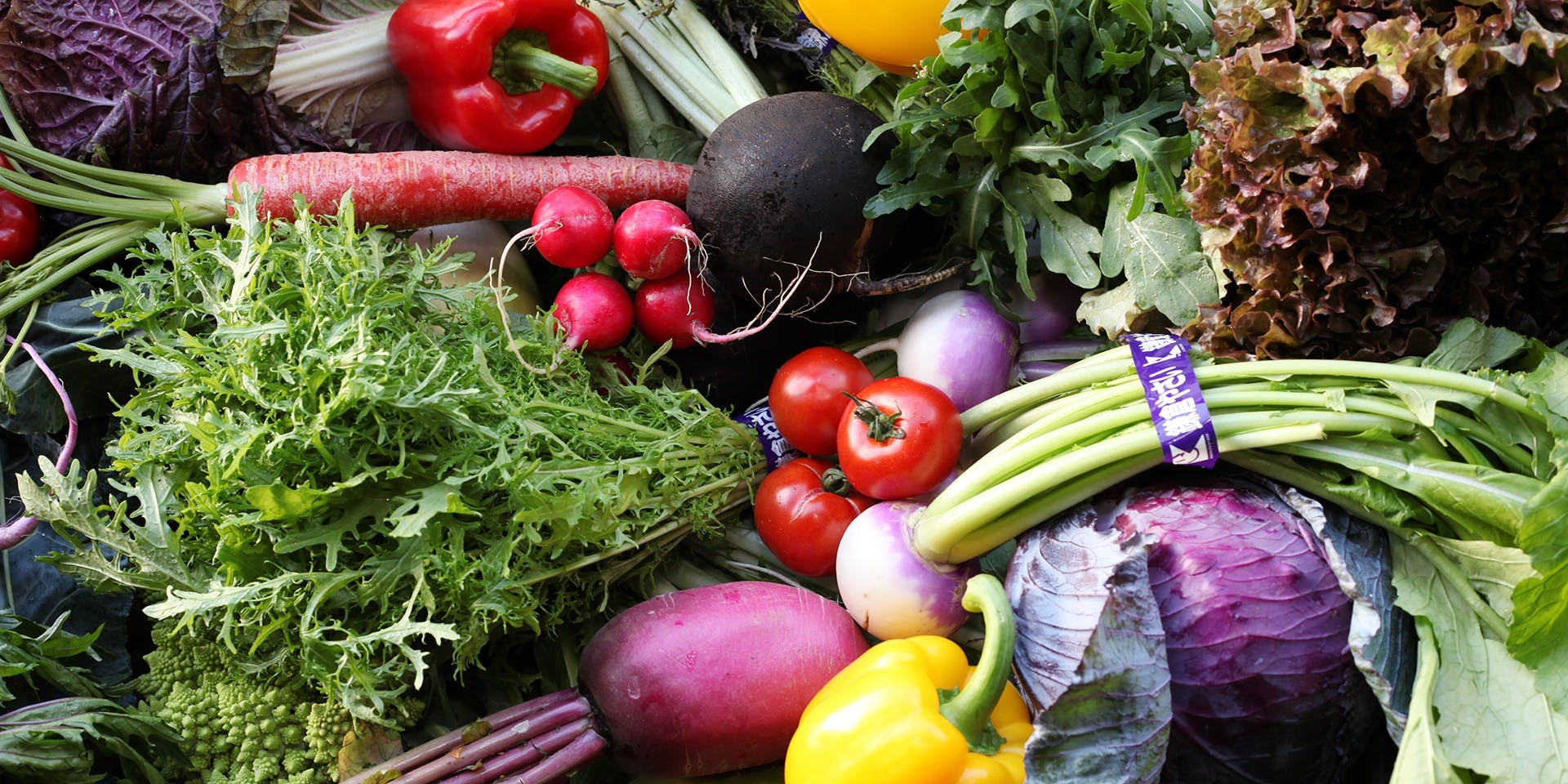 料理屋 とり匠 駒込店