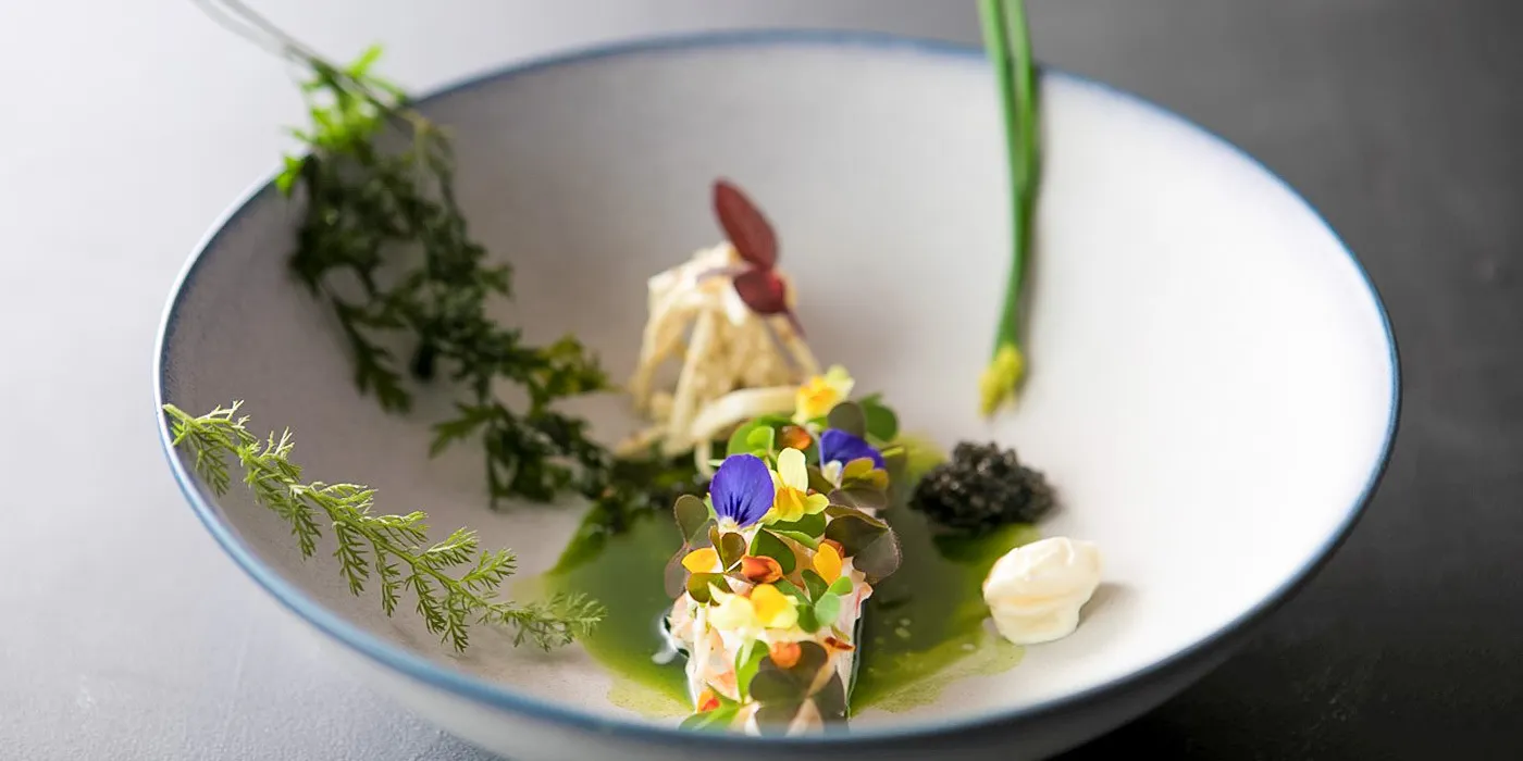 ランチ シンギュラー シングラ キョウトユラホテルニジョウジョウベッテイ エムギャラリー Singular 眞蔵 京都悠洛ホテル二条城別邸 Mギャラリー フランス料理 一休 Comレストラン