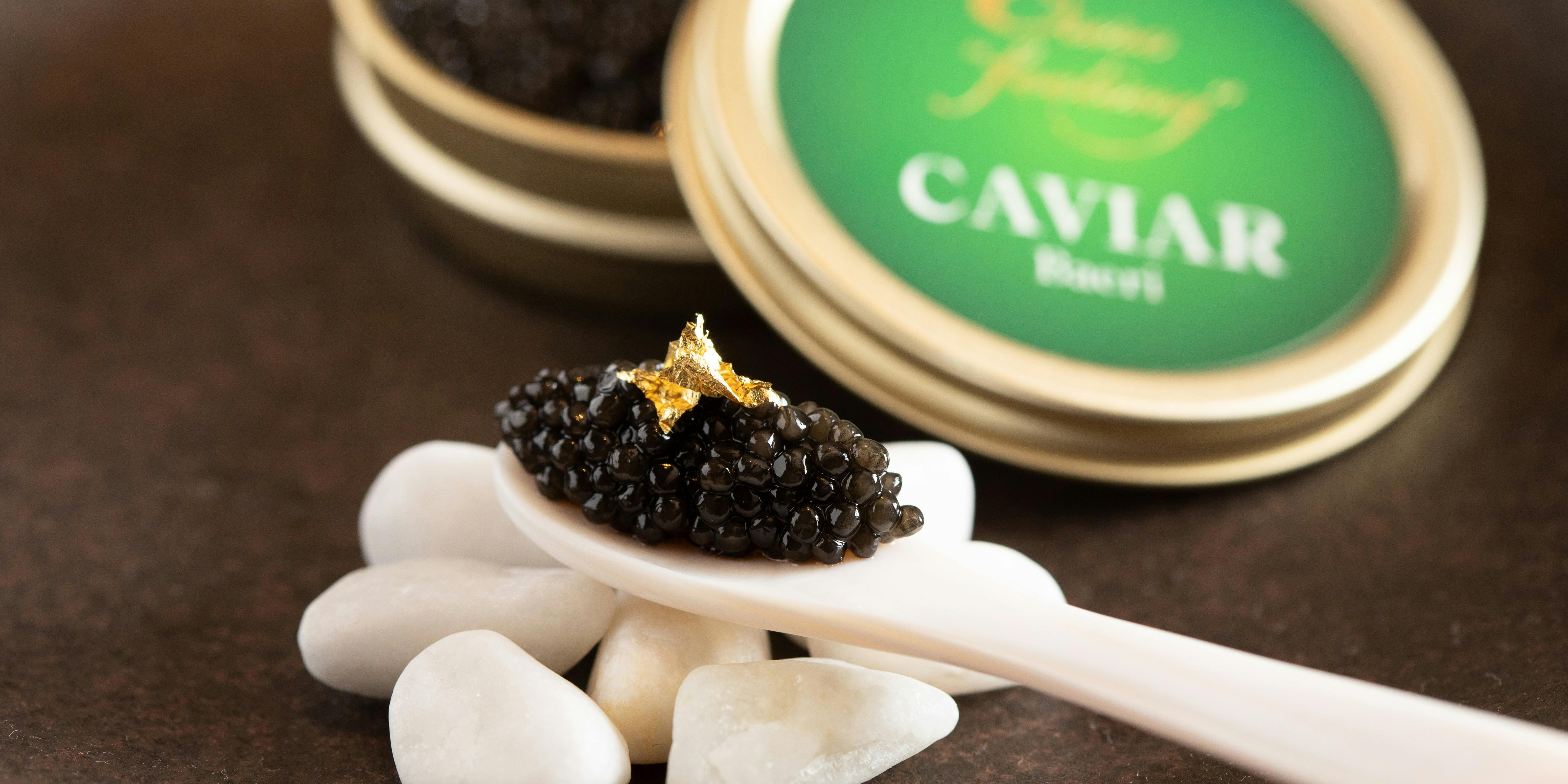 眞蔵（Singular）