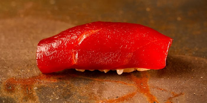 中目黒の寿司 鮨 が楽しめるおすすめレストラントップ4 一休 Comレストラン 中目黒の寿司 鮨 が楽しめるおすすめレストラントップ4 一休 Comレストラン