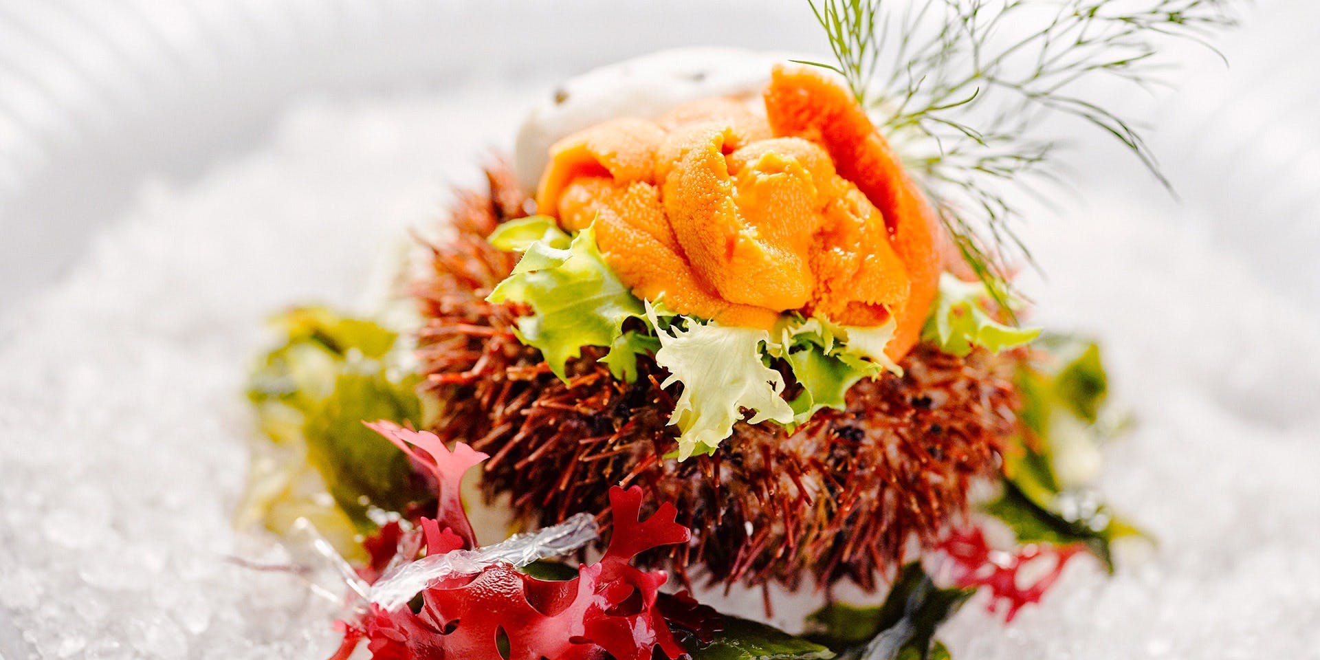 ALLY’S NAGOYA - 画像4