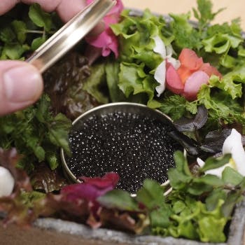 21年 最新 錦糸町駅周辺の美味しいディナー11店 夜ご飯におすすめな人気店 一休 Comレストラン