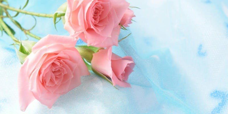 【記念日プラン】花束＆乾杯ドリンク付き