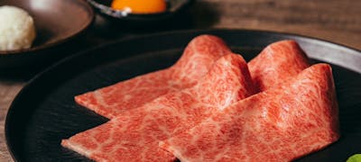 22年 最新 アイビーホール周辺の美味しいディナー29店 夜ご飯におすすめな人気店 一休 Comレストラン 22年 最新 アイビーホール周辺の美味しいディナー29店 夜ご飯におすすめな人気店 一休 Comレストラン