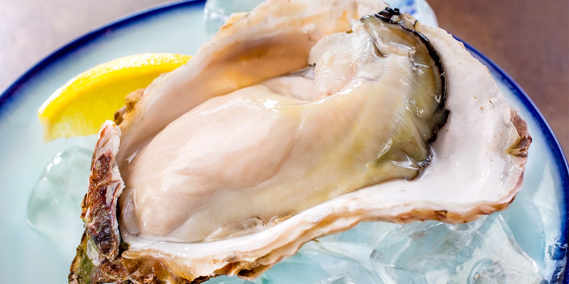 ヤオロズクラフト（YAOROZU craft）