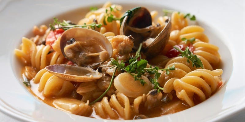 Stars�fn Cacio Kyoto�i�X�^�[�Y�� �J�`�� �L���E�g�j