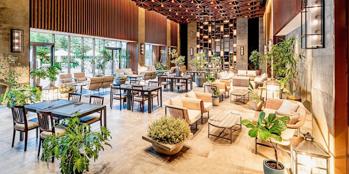 ラソール ガーデン ダイニング Lazor Garden Dining 桜町 フランス料理 一休 Comレストラン ラソール ガーデン ダイニング Lazor Garden Dining 桜町 フランス料理 一休 Comレストラン