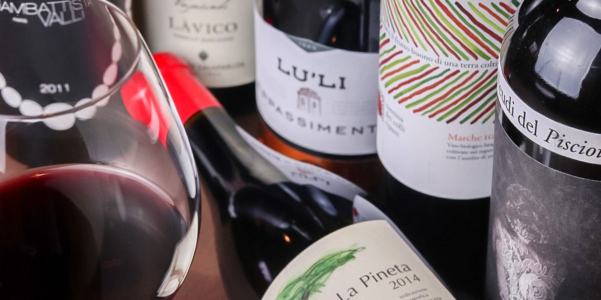 チポリーノ（CIPOLLINO）