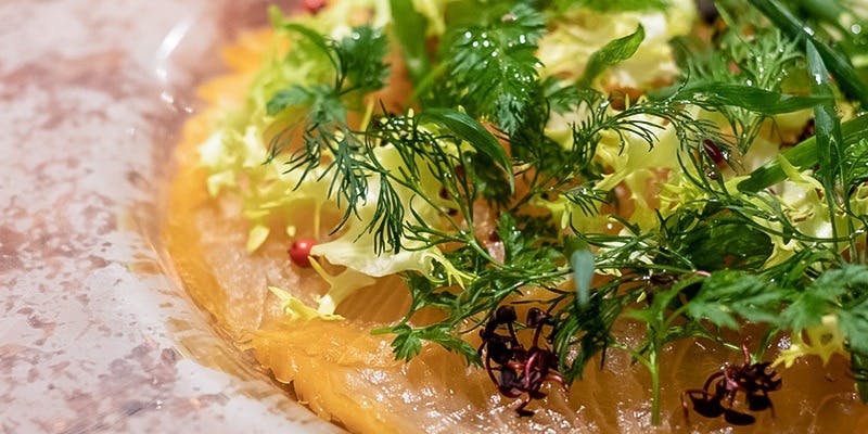 ぎんきょう - 画像4