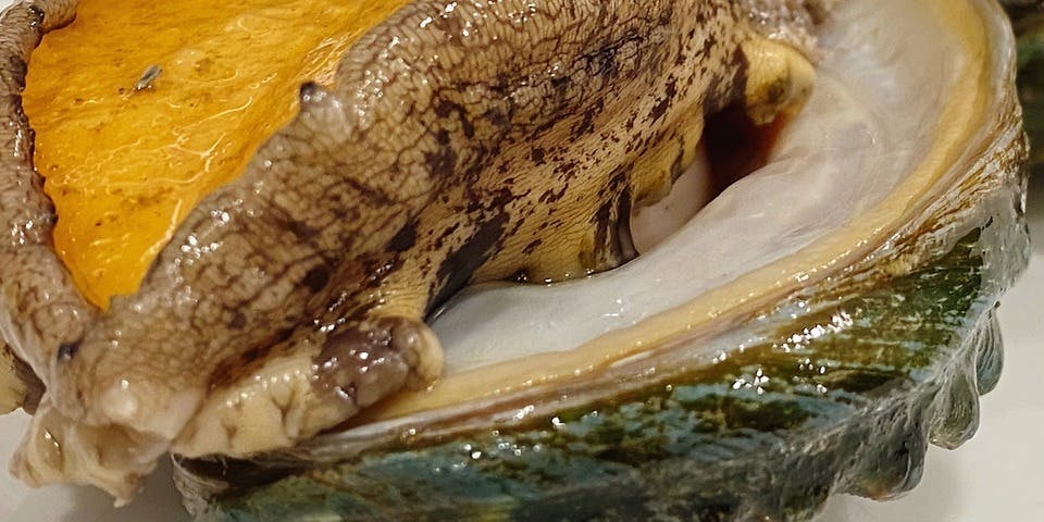 麺屋こころ 御茶ノ水店