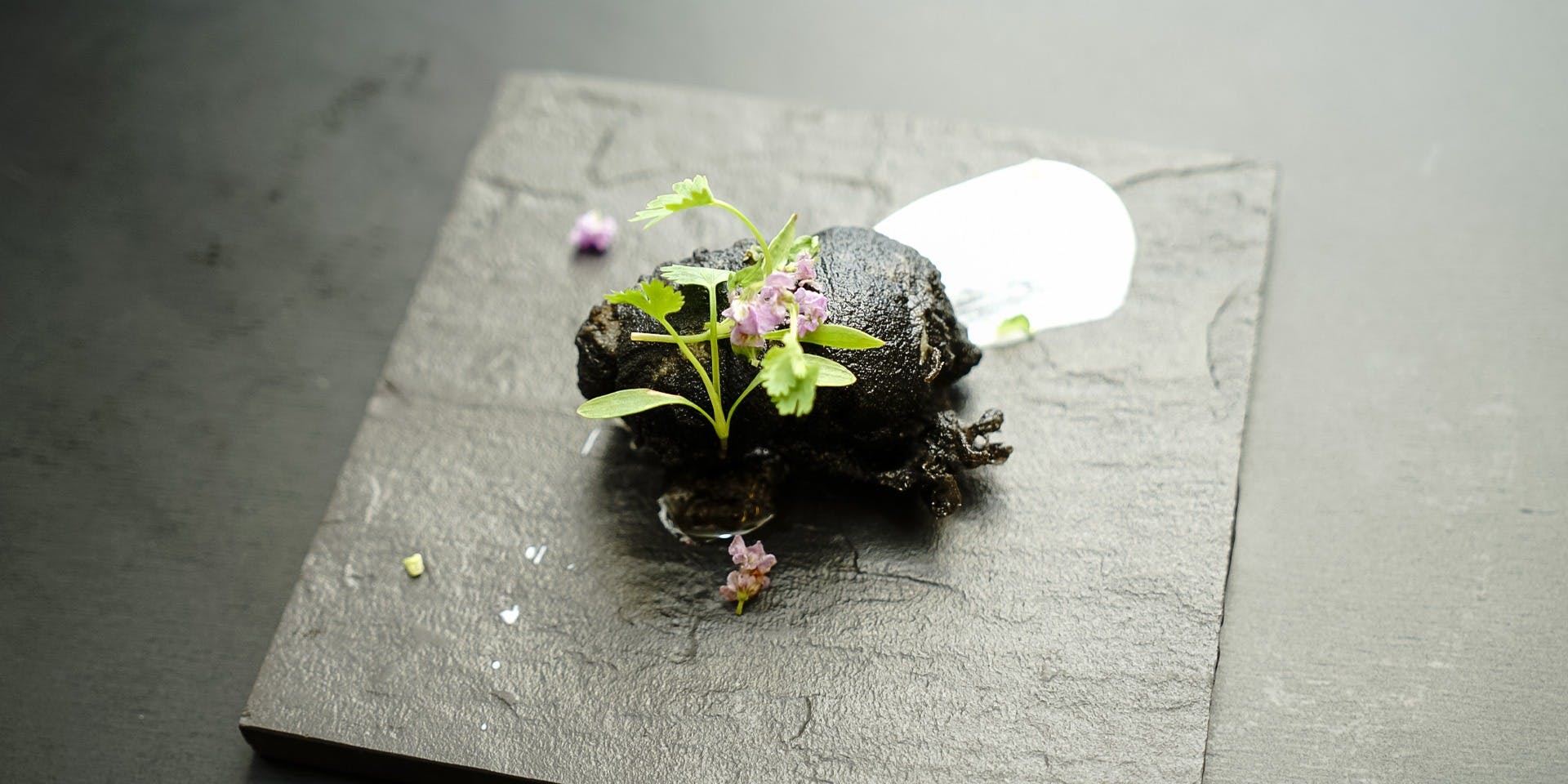 モトイ（ＭＯＴＯＩ）