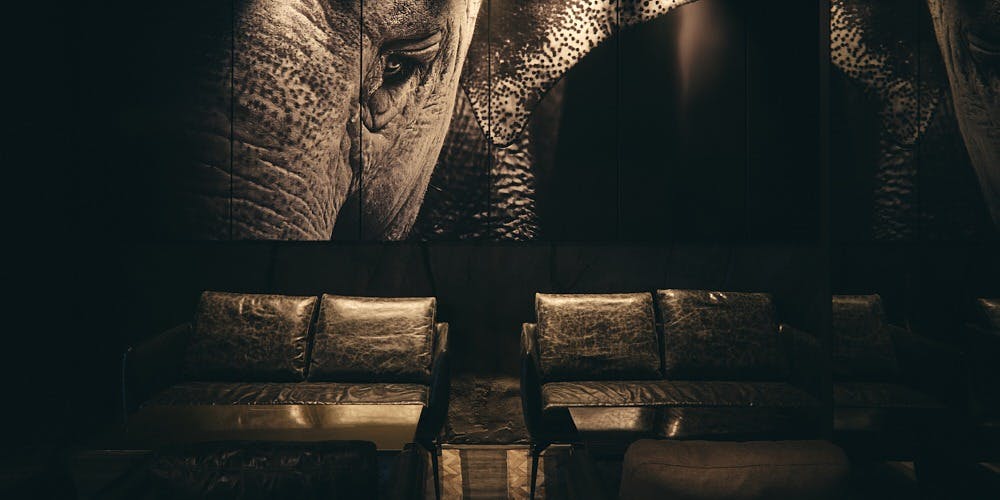 THE GREY ROOM - 画像3