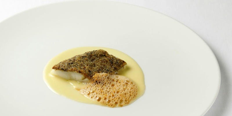 TATERU YOSHINO PORTOM INTERNATIONAL HOKKAIDO／ポルトムインターナショナル北海道 - 画像14