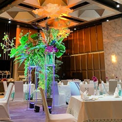 ディナー グランドボールルーム ザ カハラ ホテル リゾート 横浜 ブッフェ 一休 Comレストラン ディナー グランドボールルーム ザ カハラ ホテル リゾート 横浜 ブッフェ 一休 Comレストラン