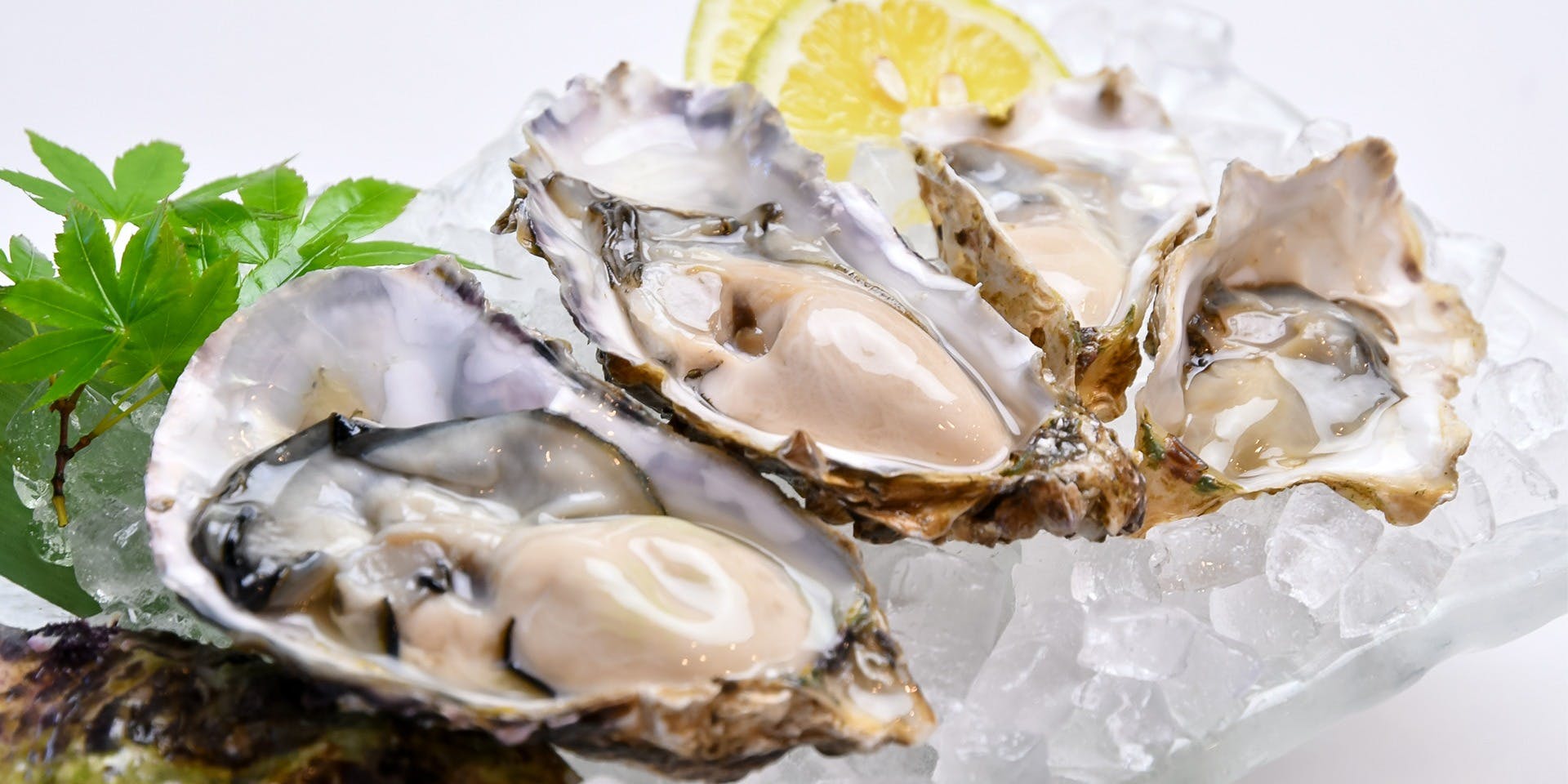 銀座 かなわ - 画像5