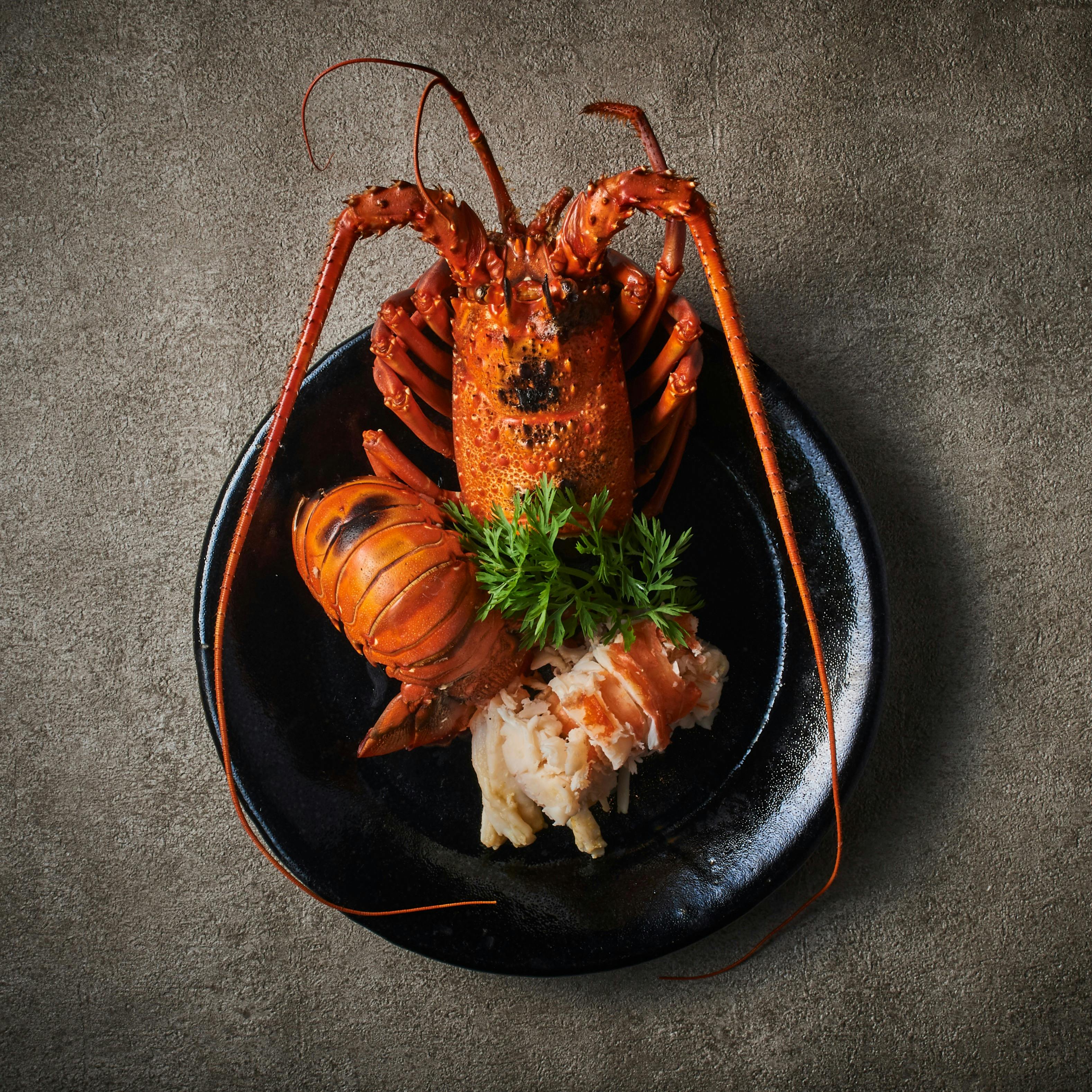 ろばた 呂者堂 ロバタ 銀座 伊勢海老 囲炉裏割烹 一休 Comレストラン