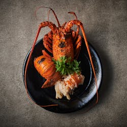 ろばた 呂者堂 ロバタ 銀座 伊勢海老 囲炉裏割烹 一休 Comレストラン ろばた 呂者堂 ロバタ 銀座 伊勢海老 囲炉裏割烹 一休 Comレストラン