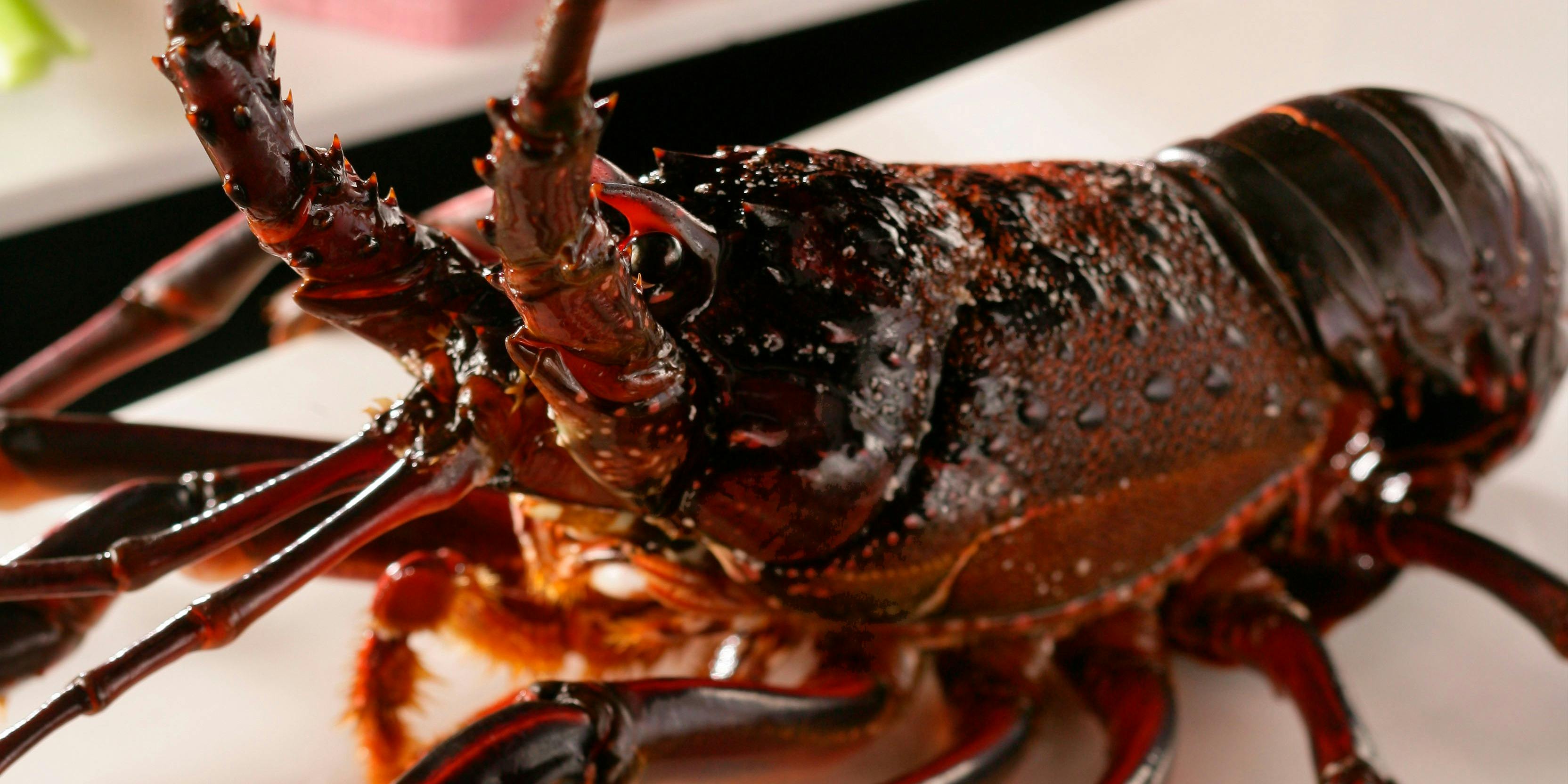 鉄板焼 煖（テッパンヤキ ダン）