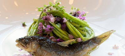 四ツ橋駅周辺ランチ21 おすすめ 絶品お昼ごはん30選 一休 Comレストラン 四ツ橋駅周辺ランチ21 おすすめ 絶品お昼ごはん30選 一休 Comレストラン