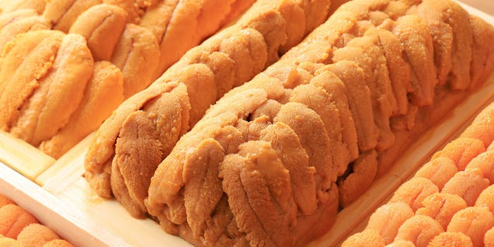 愛知のランチでクリスマスにおすすめレストラントップ1 一休 Comレストラン 愛知のランチでクリスマスにおすすめレストラントップ1 一休 Comレストラン