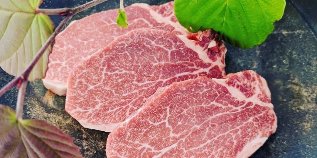 KOBE TERRACE（コウベ テラス）