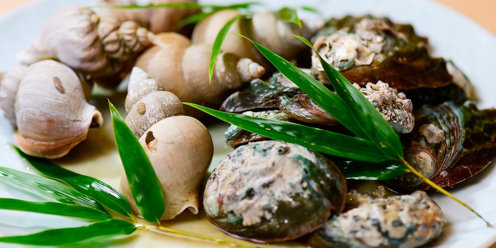 三代目だるま鮨 自由が丘店