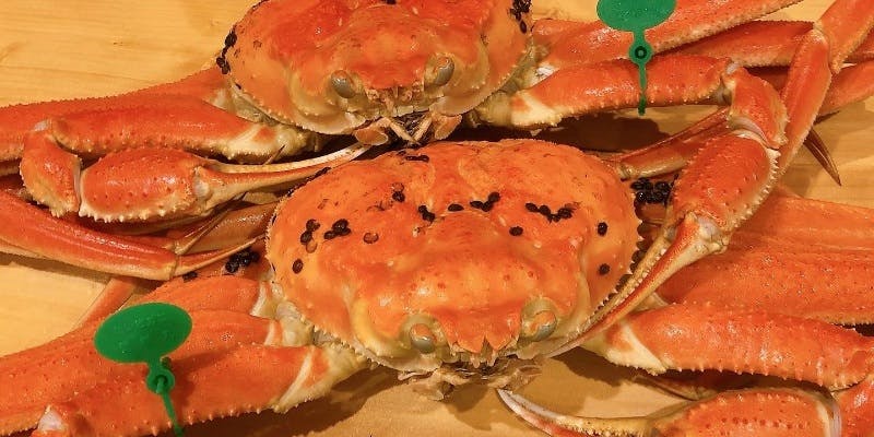 最高級日本海産　松葉蟹コース（4名様からご予約いただけます）（11/15～2/28）