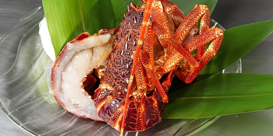 ff 鉄板 フォルティッシモ - 画像4