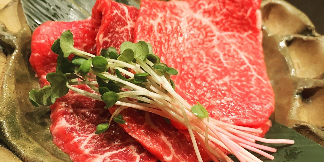 ff 鉄板 フォルティッシモ - 画像3