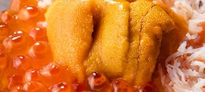 21年 最新 テアトル梅田周辺の美味しいディナー13店 夜ご飯におすすめな人気店 一休 Comレストラン 21年 最新 テアトル梅田周辺の美味しいディナー13店 夜ご飯におすすめな人気店 一休 Comレストラン