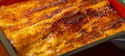 伝通院周辺ランチ21 おすすめ 絶品お昼ごはん5選 一休 Comレストラン 伝通院周辺ランチ21 おすすめ 絶品お昼ごはん5選 一休 Comレストラン