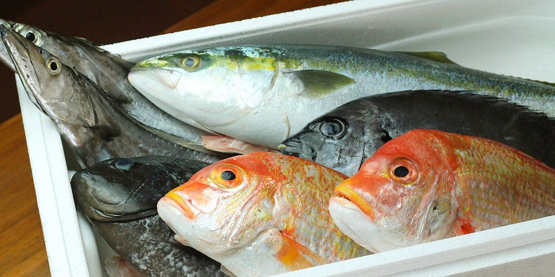 フィオーレ ジャルディーノ - 画像6