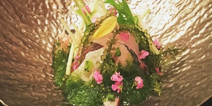 田の頭 タノカシラ 上前津 矢場町 栄 寿司 一休 Comレストラン 田の頭 タノカシラ 上前津 矢場町 栄 寿司 一休 Comレストラン