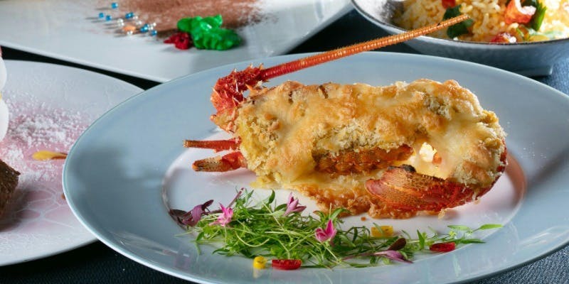 【シグネチャー】11月12月シグネチャーコース＋フリードリンク（個室確約）